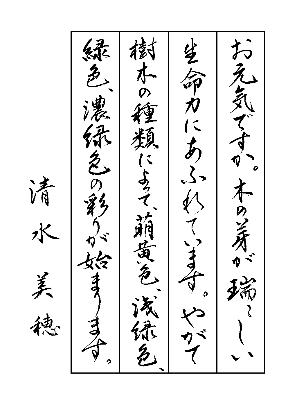 清水　美穂